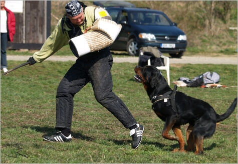 Training in Prague - 2. 4. 2008